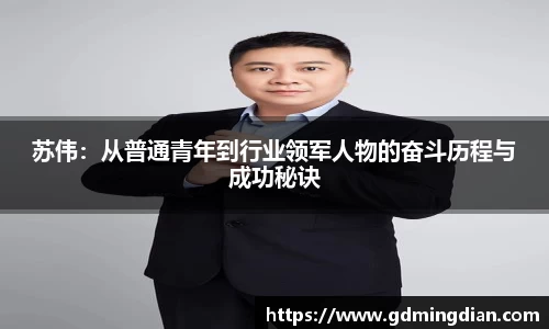 苏伟：从普通青年到行业领军人物的奋斗历程与成功秘诀