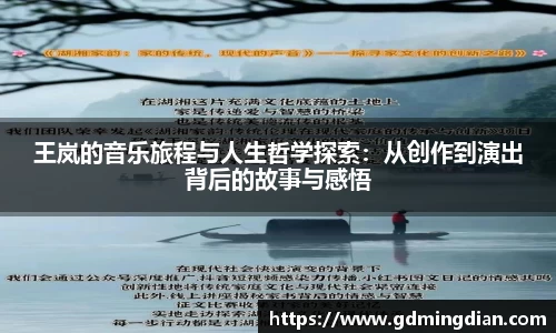 王岚的音乐旅程与人生哲学探索：从创作到演出背后的故事与感悟